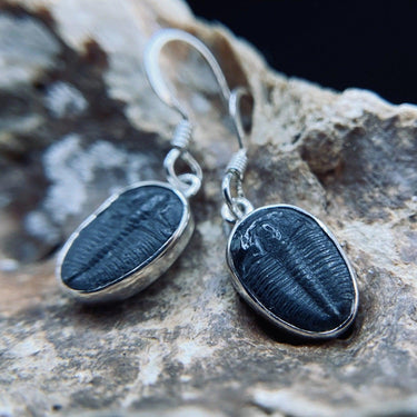 Trilobite Drop Earrings encased in 925 Sterling Silver - Black Feather Design